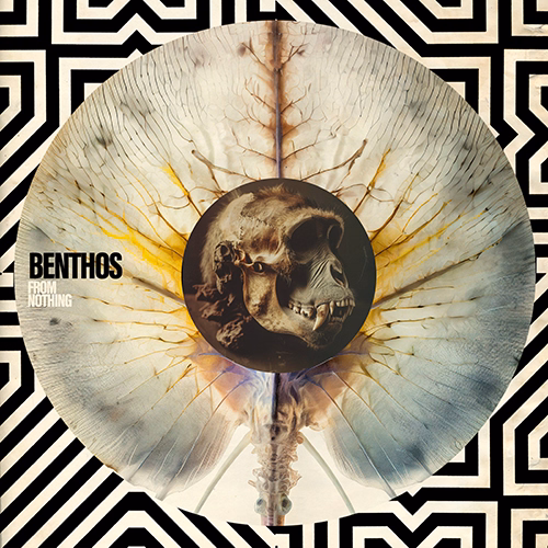 Benthos - From Nothing album cover